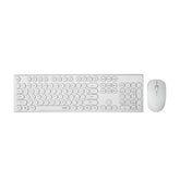 RAPOO WIRELESS COMBO X260 KEYBOARD