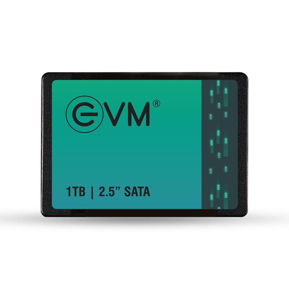 EVM 1TB SATA SSD