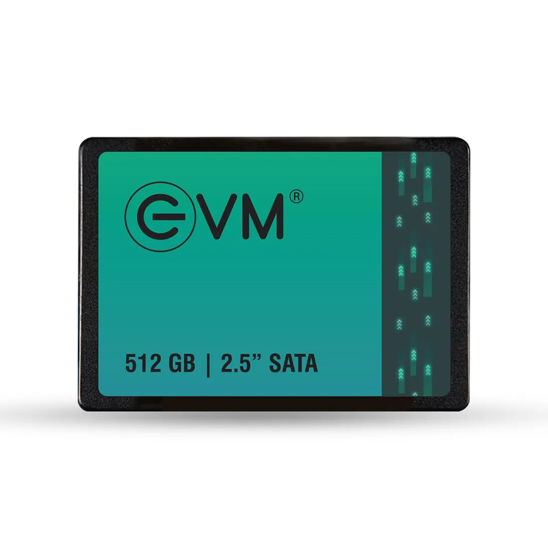 EVM 512GB SATA SSD