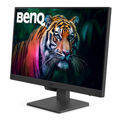 BenQ GW2490 (23.8") Full HD IPS Panel LED - Black