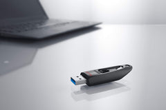 SanDisk Ultra 256gb USB 3.0 Flash Drive