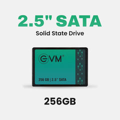 EVM 256GB SATA SSD