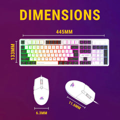 ANT ESPORTS KM1610 LED GAMING KEYBOARD AND MOUSE