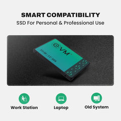 EVM 512GB SATA SSD