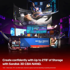 WD BLUE SN5100 500GB NVME SSD