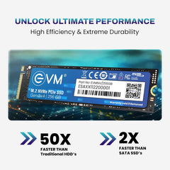 EVM 256GB NVMe
